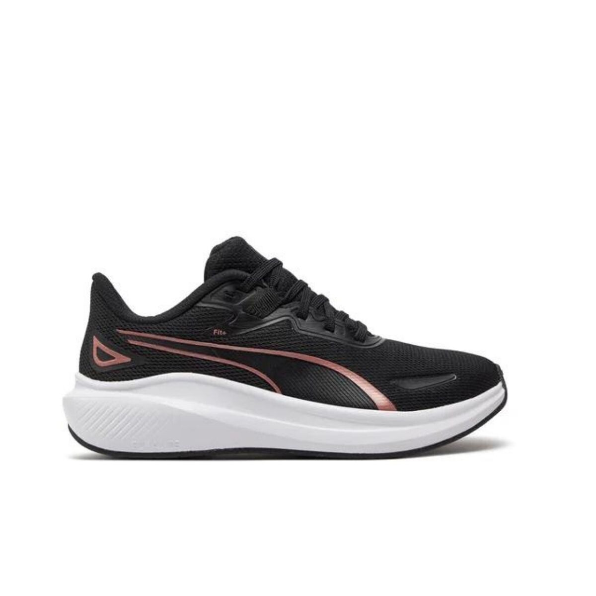 CHAMPION 36-41 - NEGRO 