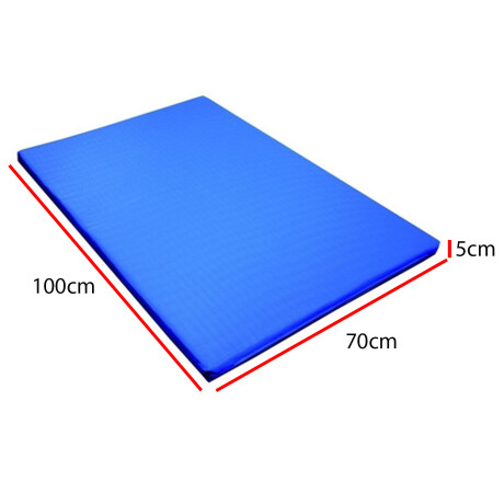 Colchoneta Para Gimnasia De Alta Densidad 100x70x5cm Azul
