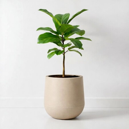 Maceta decorativa gota 4.5Lts Beige Maceta decorativa gota 4.5Lts Beige