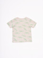 REMERA JOACO CRUDO