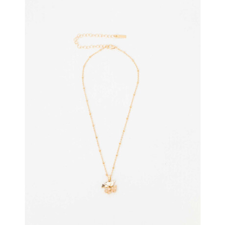 Collar Con Dije De Pájaro Dorado