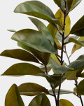 Árbol artificial Magnolia con maceta blanca 160 cm Árbol artificial Magnolia con maceta blanca 160 cm