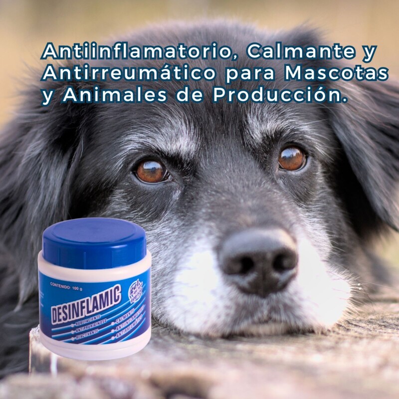 DESINFLAMIC GEL ANTIINFLAMATORIO CALMANTE ANTIREUMÁTICO X 100 GRS DESINFLAMIC GEL ANTIINFLAMATORIO CALMANTE ANTIREUMÁTICO X 100 GRS