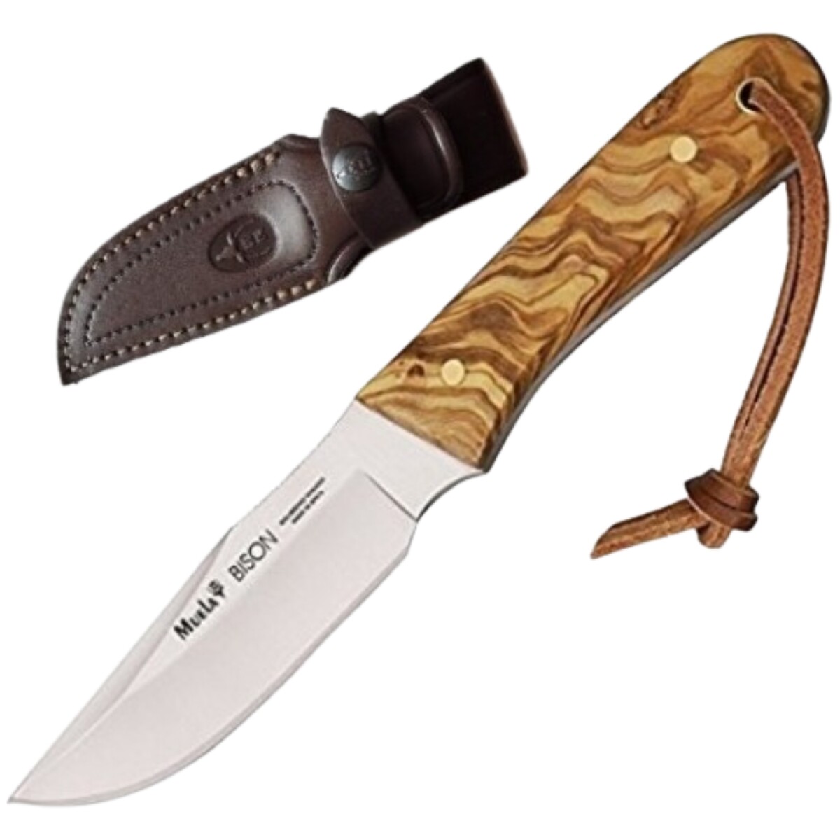 Cuchillo deportivo Bison-9OL - Muela 