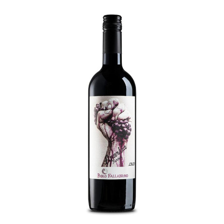 Vino Pablo Fallabrino Anarkia 750 Ml