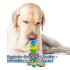 JUGUETE DE GOMA MACIZA PARA PERROS - TIPO MANCUERNA JUGUETE DE GOMA MACIZA PARA PERROS - TIPO MANCUERNA
