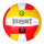 Pelota Volleyball Expert Nº5 Oficial Voley Playa Pel005002