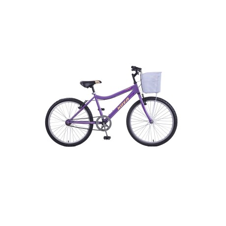 Bicicleta Andes Dama Rodado 24 Violeta