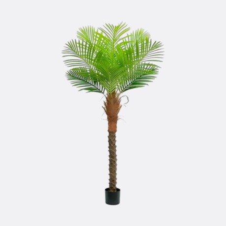 Palmera Tropical 160 cm Palmera Tropical 160 cm