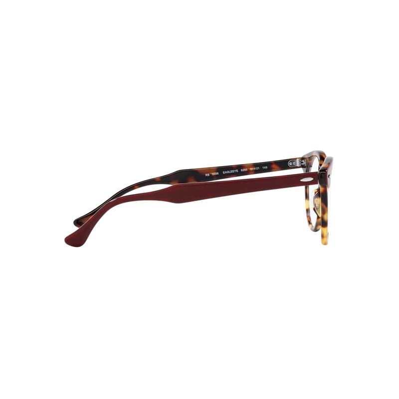 Ray Ban Rb5598 Eagleeye 8250