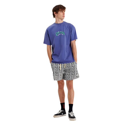 Remera Critical Slide Depths - Violeta Remera Critical Slide Depths - Violeta
