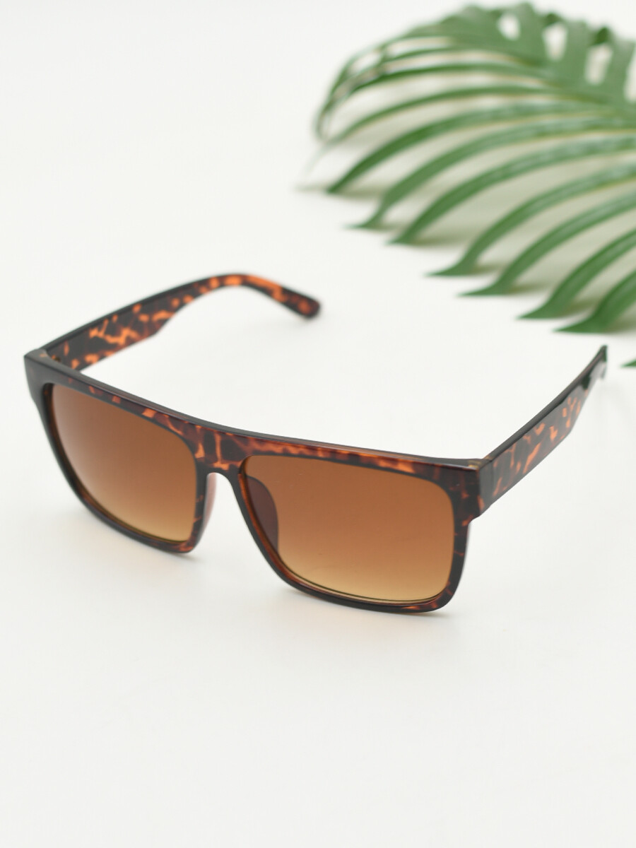 LENTES DANTE - MARRON 