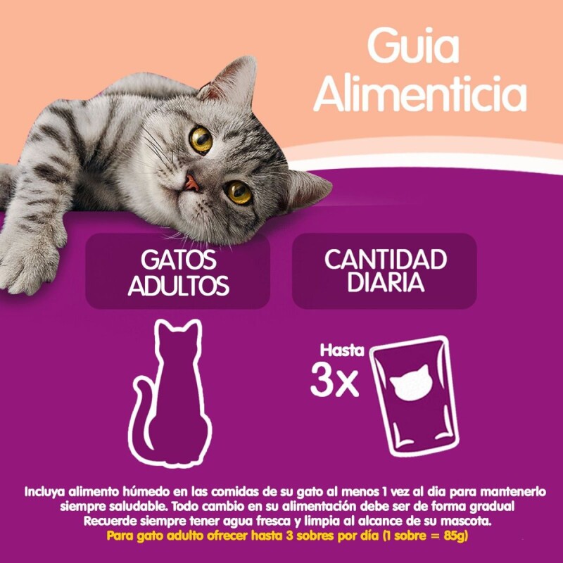 WHISKAS EN SALSA CAJA 12 UNIDADES SALMON