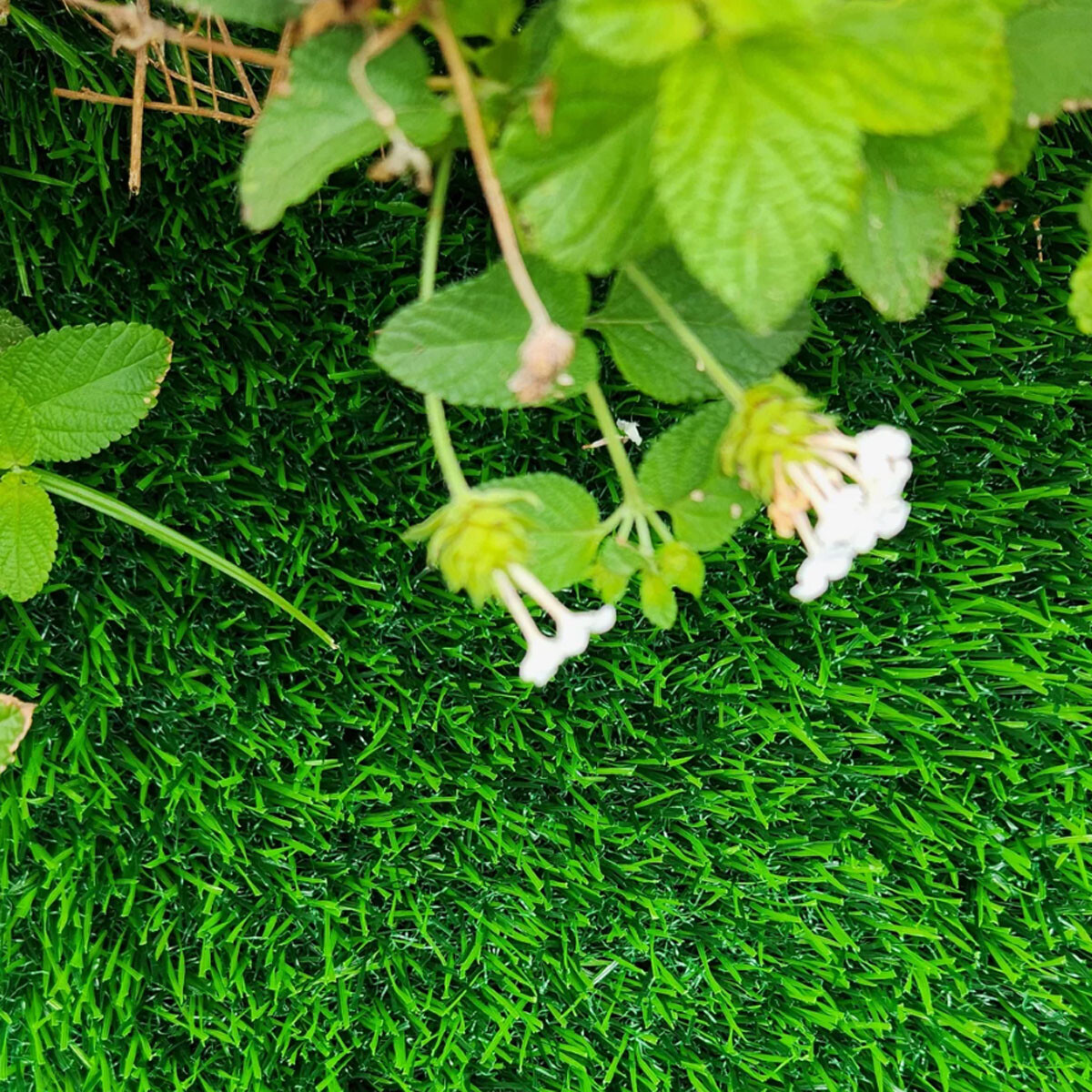 Cesped sintético PREMIUM 20mm espesor 5m2 