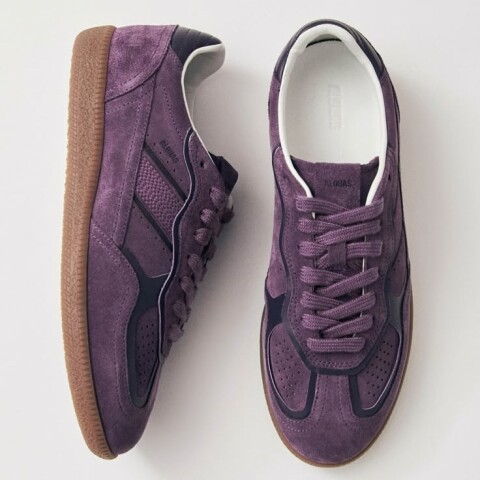 Zapatilla violeta Zapatilla violeta