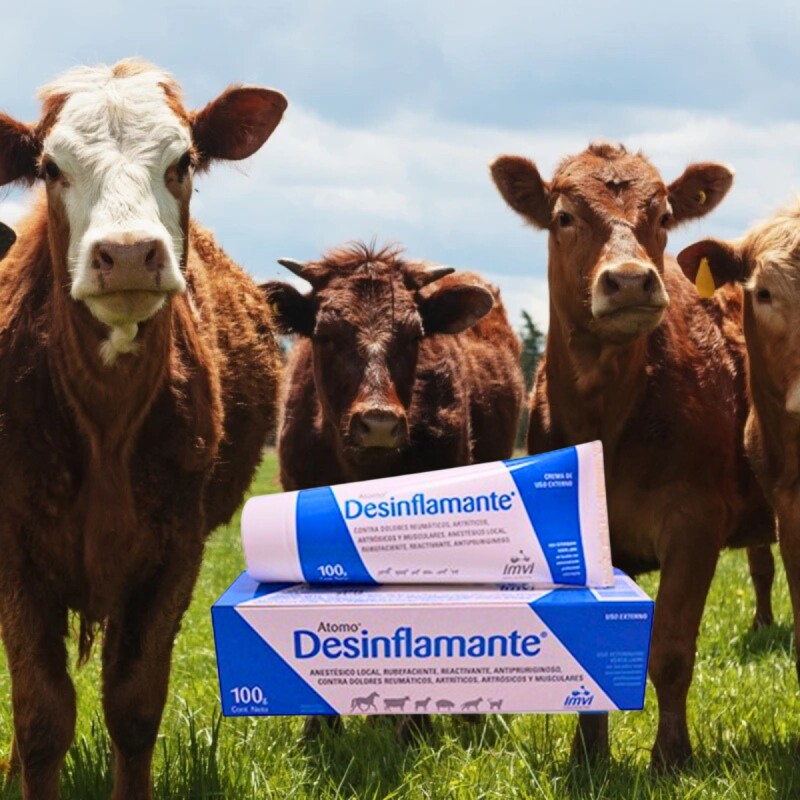 ATOMO DESINFLAMANTE POMO - CREMA VETERINARIA ANESTÉSICA Y RUBEFACIENTE- 100 GR ATOMO DESINFLAMANTE POMO - CREMA VETERINARIA ANESTÉSICA Y RUBEFACIENTE- 100 GR