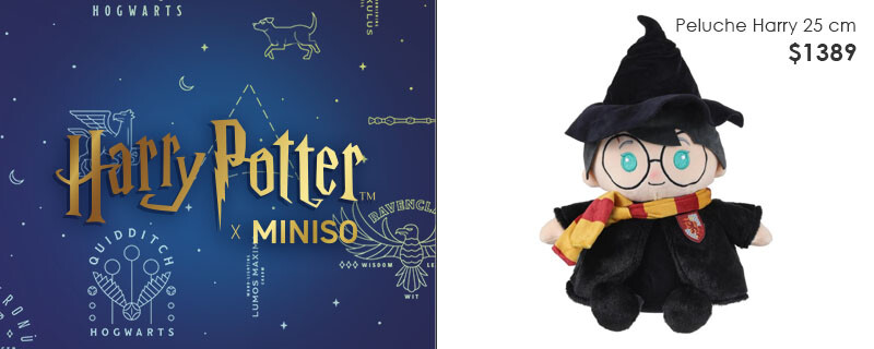 Harry Potter colección