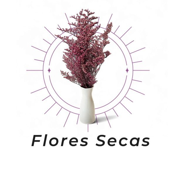 Flores Secas