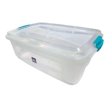 CAJA ORGANIZADORA RIDCHIOTO 30 LITROS Sin color