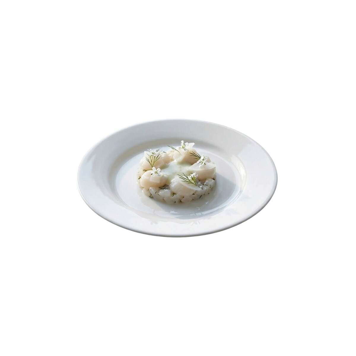 Plato Llano de Porcelana Blanca 23.5 cm Actualite 
