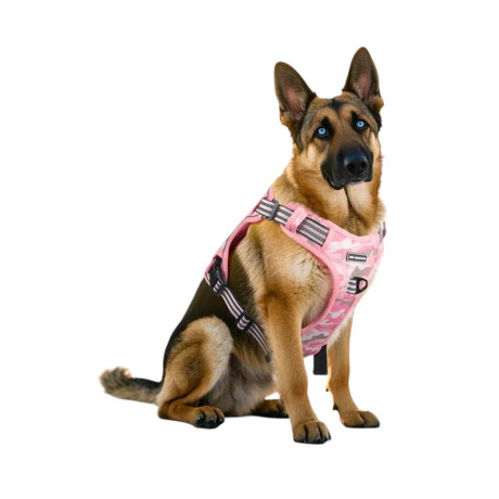 Arnés Y Correa Tela Oxford Reforzado Con Asa y Velcro Rosa/camuflado