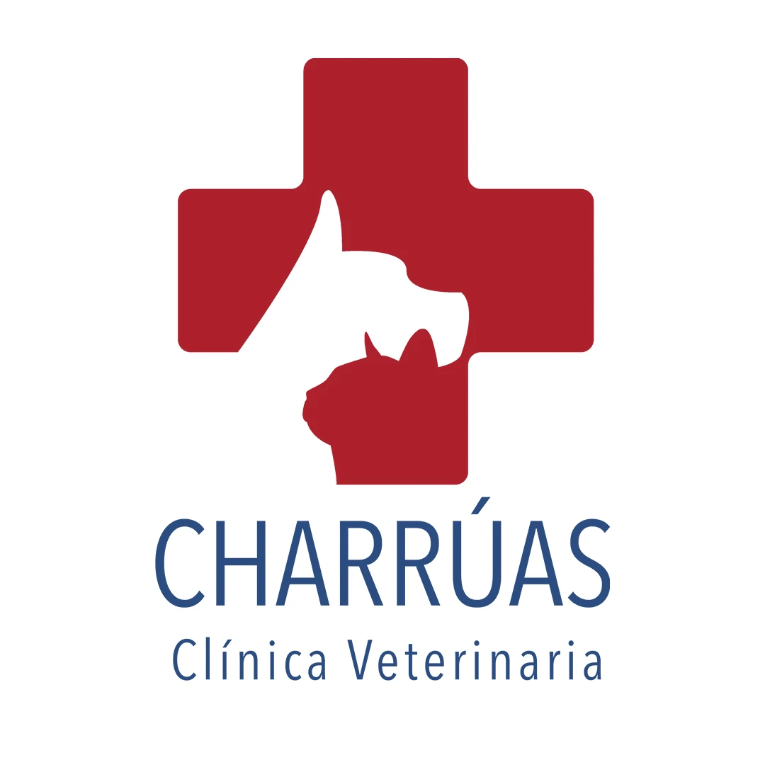 Veterinaria Charruas