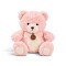 Osito Teddy con Collar Rosa