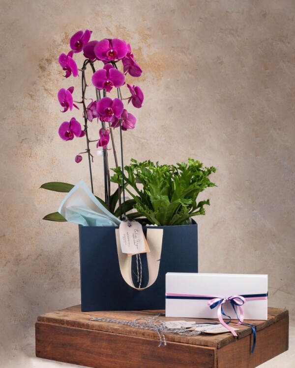 Orquídea y Helecho con caja de 12 bombones Orquídea y Helecho con caja de 12 bombones