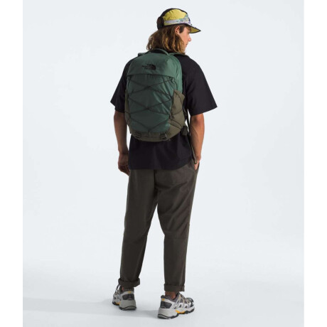 Mochila Borealis 28 L Duck Green/new Taupe Gr