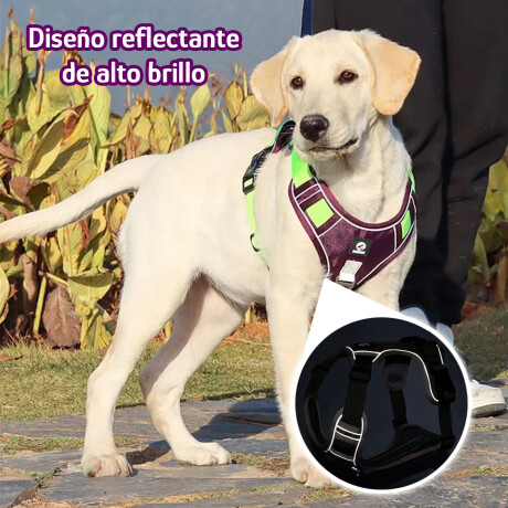 Arnés Y Correa Nylon 1.5m Reforzado Ajustable Verde/violeta