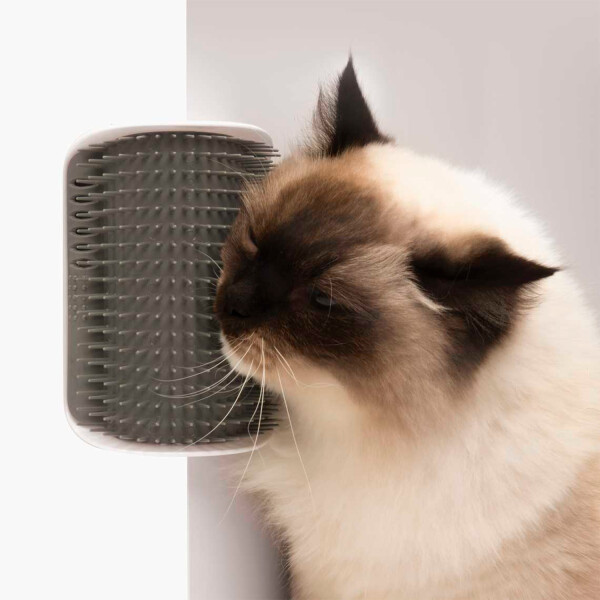 Rascador Masajeador Cepillo Esquinero Gato + Hierba Gatera Variante Color Gris