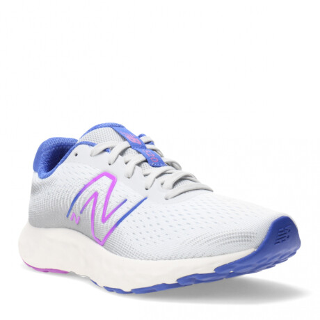 Championes de Mujer New Balance 520 V8 Gris - Azul