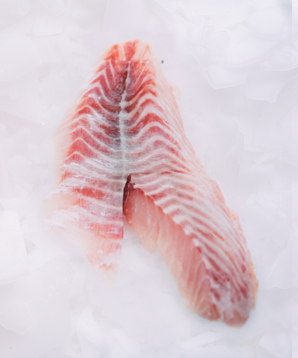 Filete de Pargo - 500 g 