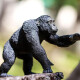 Safari Ltd. 100302 - Chimpancé Safari Ltd. 100302 - Chimpancé