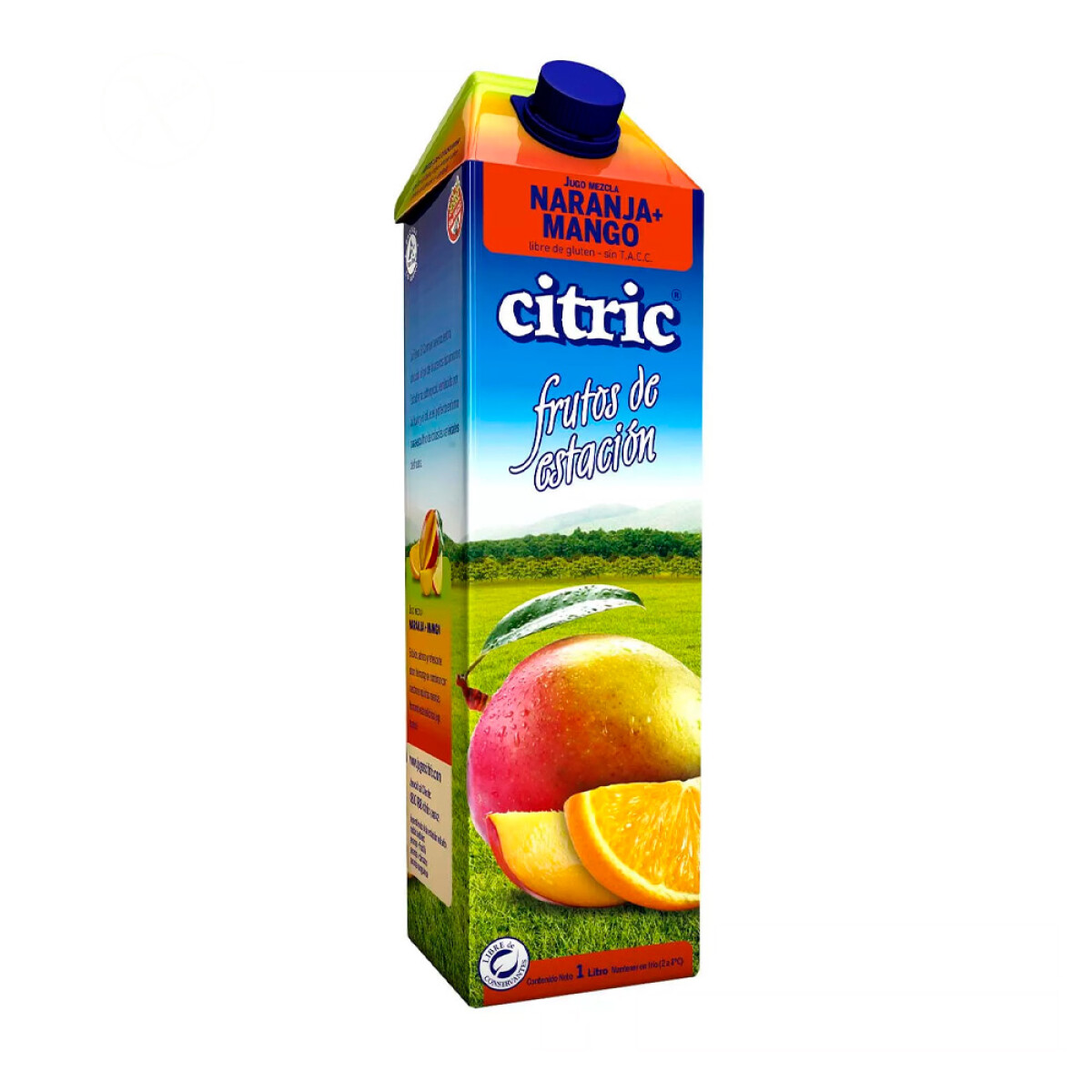 Jugo Citric naranja mango 1L 