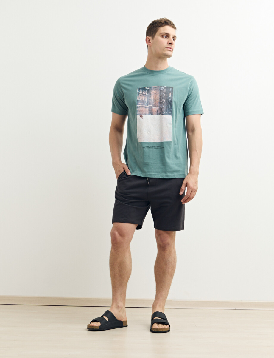 520308 T-SHIRT HARRY Petroleo