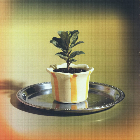 Maceta de cerámica Pétalos Pastel - Violeta amarillo