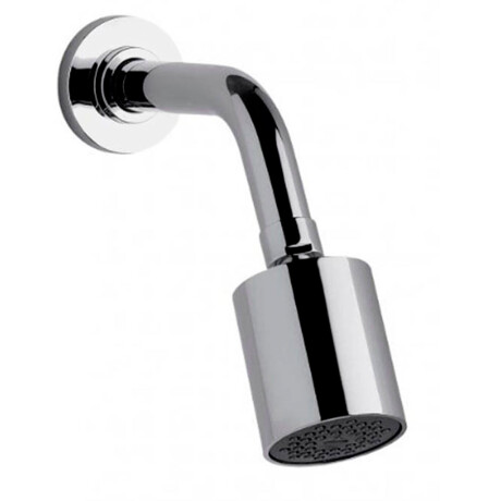 Roseta y brazo articulada cromada 000