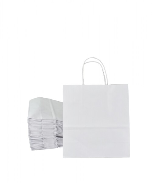 Pack x 50 - bolsa lisa 22x10x24 cm. BLANCO