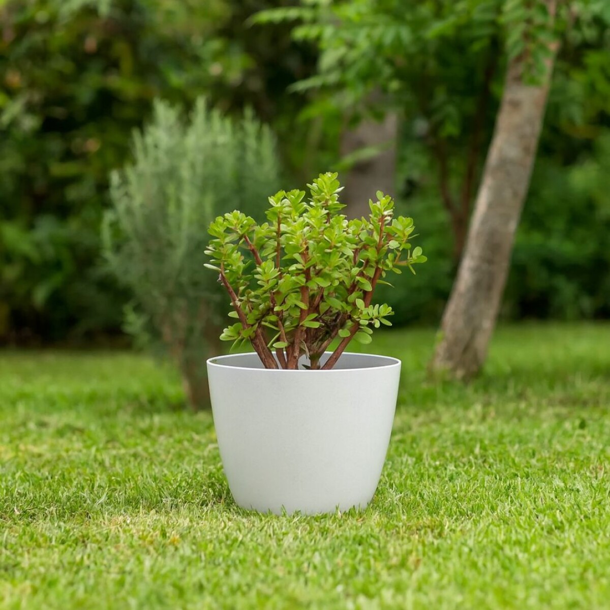 MACETA REDONDA 22 CM UMBRA BLANCA - Blanco 