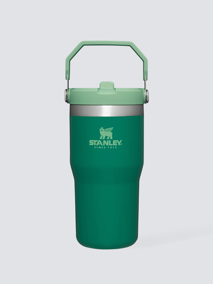 Stanley Flip Straw Tumbler 20 OZ - Verde Oscuro 