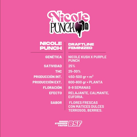 FEM - NICOLE PUNCH COLECCIÓN X7