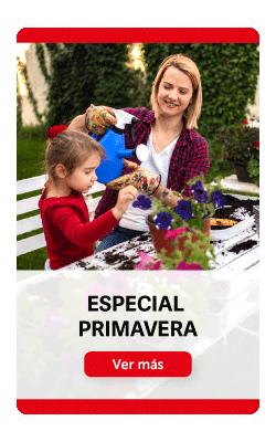 Ofertas de la semana