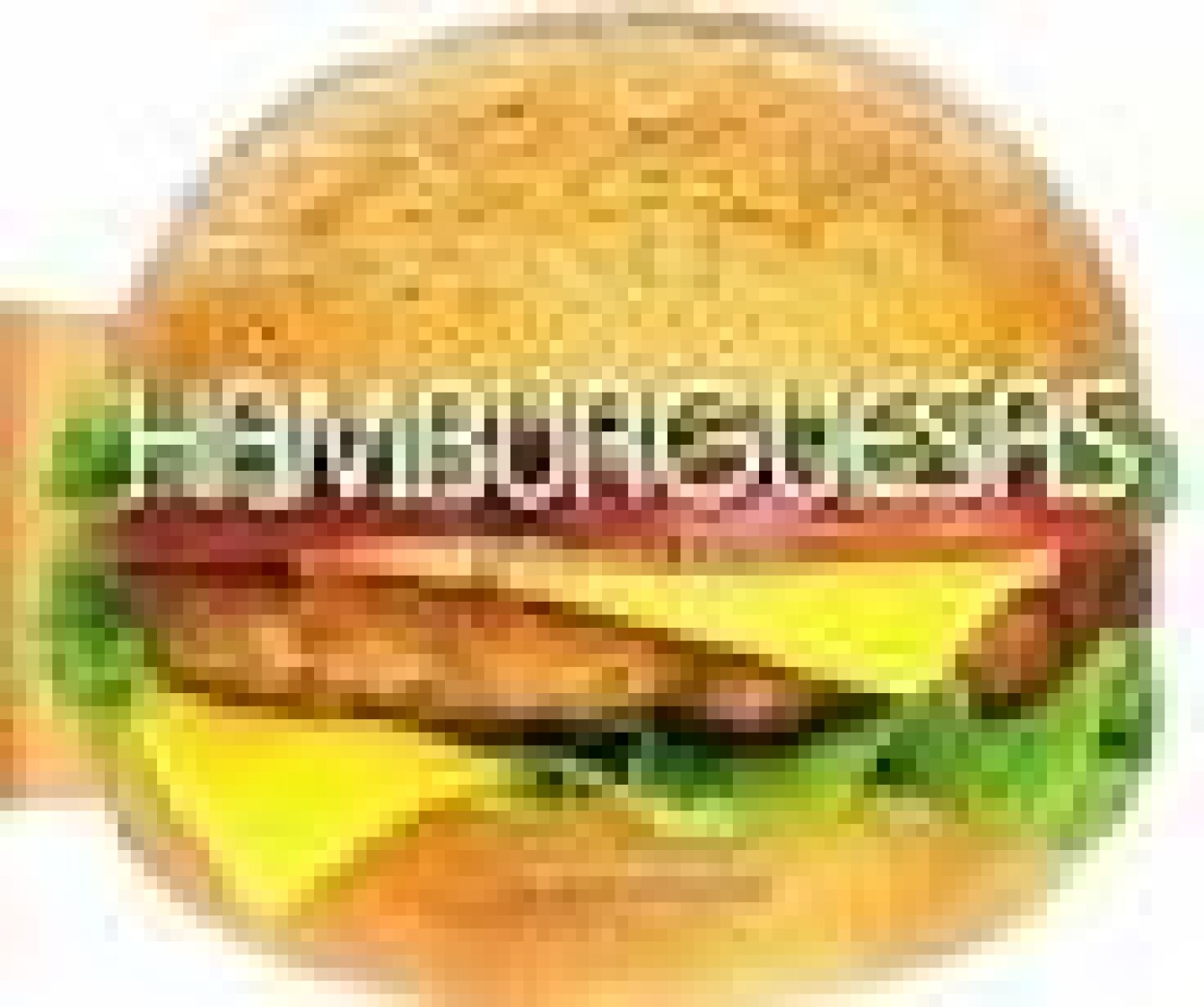 HAMBURGUESAS 50 RECETAS FACILES 