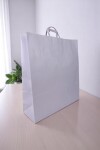 Bolsa lisa acuario 44x14x48 cm BLANCO