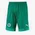 Short arquero 2019/2020 - Verde Short arquero 2019/2020 - Verde