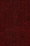 STAR RESINE FIELTRO STAR / SUN RESINE 16 D.RED ANCHO 2M
