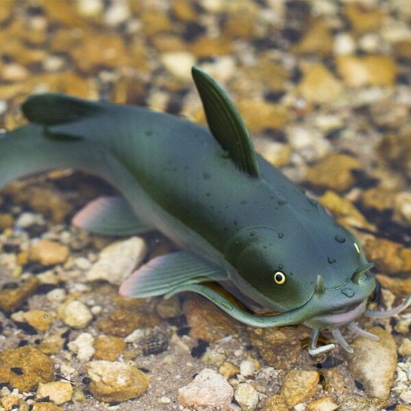Pez Gato Catfish Figura Safari Juguete Muñeco Realista Niño Pez Gato Catfish Figura Safari Juguete Muñeco Realista Niño