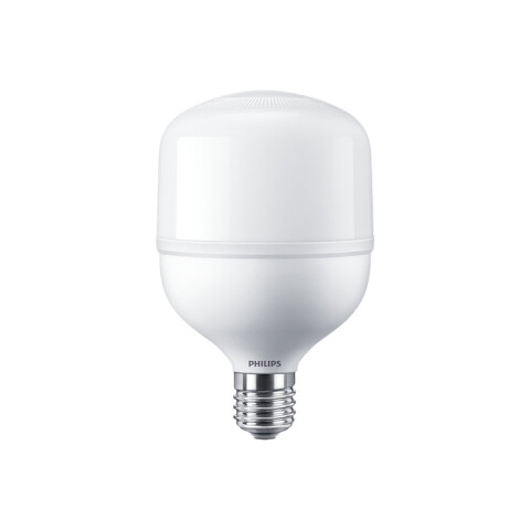 Lámpara LED bulbo opal E27 50W 5000Lm luz fría L27314X