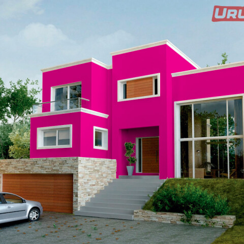 King Latex Latex interior exterior Fucsia
